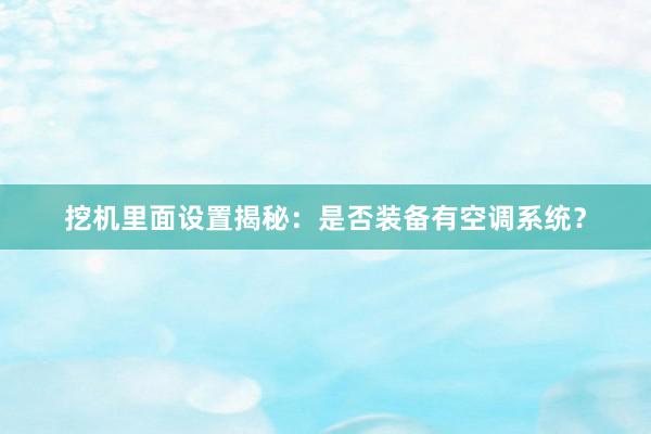 挖机里面设置揭秘：是否装备有空调系统？